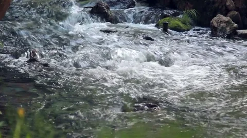 Small River Water Flows Among Rocks And Stones Of River Stock Footage 76939182