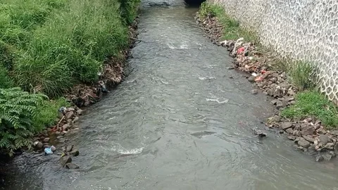 Small river water Stock Footage 221545731