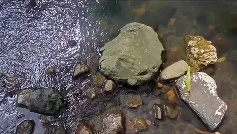 Small river water Stock Footage 221849852