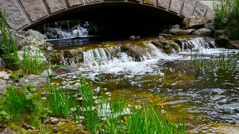 Small river, waterfall and stone bridge Stock Footage 76027614