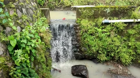 Small river waterfall Video stock 233317079