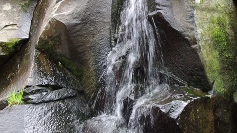 Small river waterfall. Layered rocks. Ukraine, Carpathian Mountains Video stock 119452956