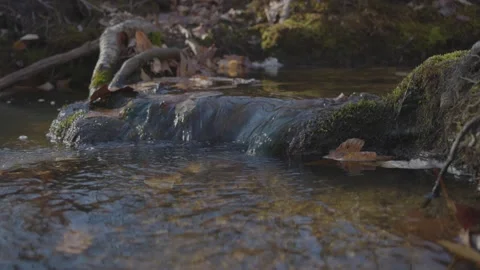 Small River Waterfall Over Moss Vídeo Stock 235220859