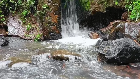 Small River Waterfall On The River Beautiful Natural Scenery Video stock 221543999
