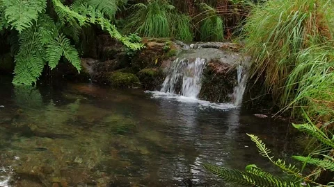 Small river waterfall in tropical river beautiful natural landscape Stock Footage 133196901