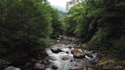 Small river in western Georgia Stock Footage 139742854