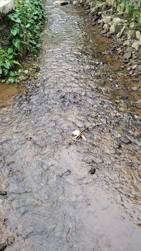 A small river whose water is still clear Stock Footage 196272139