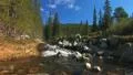 Small river in wilderness HD Footage
