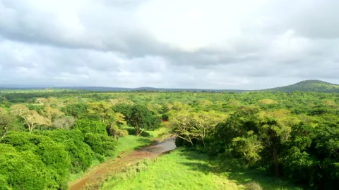 Small river winding through a lush green landscape in KwaZulu-Natal Stock Footage 161806967