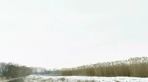 Small river winter landscape Video stock 60650404