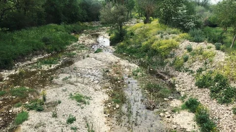 A small river in the wood Stock Footage 89383723