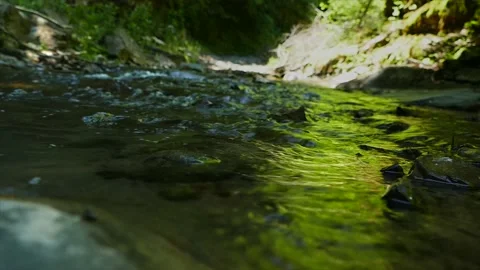 A small river in the woods. Close up view Stock Footage 183301222