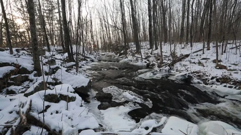 Small River in the Woods 库存影片 37445011