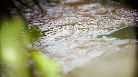 Small rivers flow - trickle of water Stock Footage 292592953