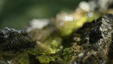 A small rivulet runs over mossy stones in summer (slow motion, bokeh) Stock Footage 262090860