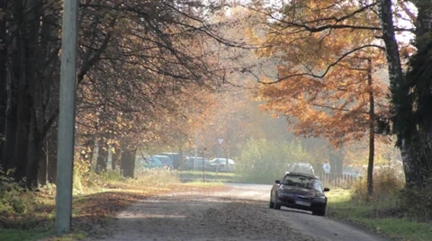 Small Road in Autumn With Car in Background Stock Footage 31899984