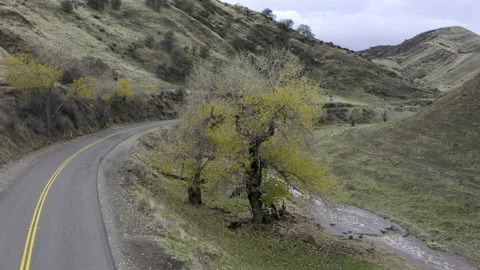 Small road in canyon Stock Footage 231578618