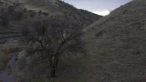 Small road in canyon Stock Footage 231579870