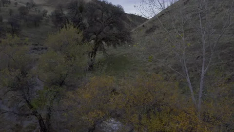Small road in canyon Stock Footage 231579922