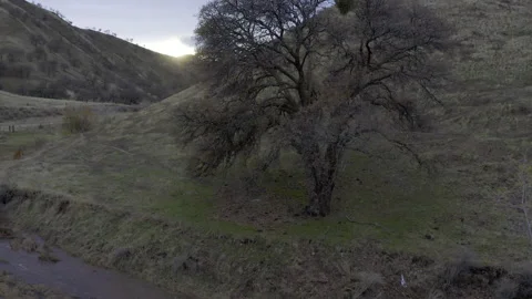 Small road in canyon Stock Footage 231580004