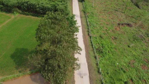 Small Road in Countryside Stock Footage 255038110