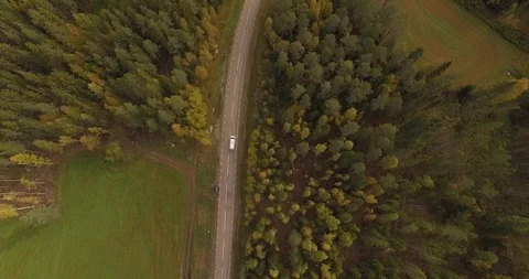 Small road in the forest with car driving Видео 123979789