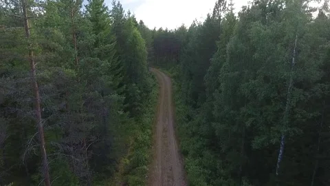 Small road in the middle of forest Stock Footage 134794162