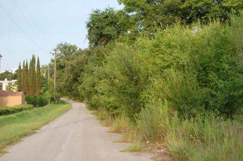 Small Road 스톡 사진