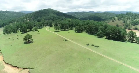 Small Road On Pine Hill In Dalat Viet Nam Stock Footage 271214890