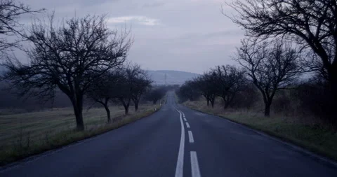 Small road surrounded by trees. Static shot. Overcast. Stock Footage 147636401