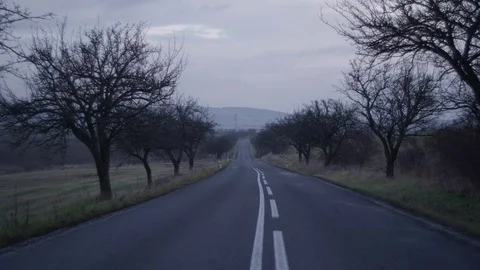 Small road with trees in both sides, static Stock Footage 83393453