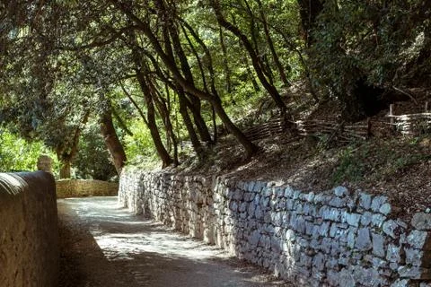 Small road in the woods Stock-Fotos
