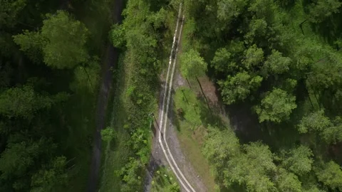 Small roads in the middle of dense natural pine forest in the mountain hills Video stock 290944617