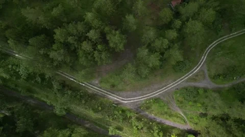 Small roads in the middle of dense natural pine forest in the mountain hills Video stock 290944918