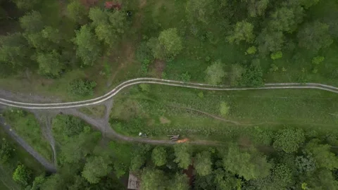 Small roads in the middle of dense natural pine forest in the mountain hills Video stock 290946059