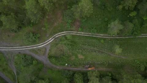 Small roads in the middle of dense natural pine forest in the mountain hills Video stock 290946143