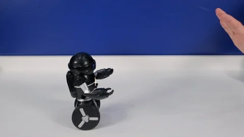 Small robot toy on wheels drives away from human hand Stock Footage 116275551