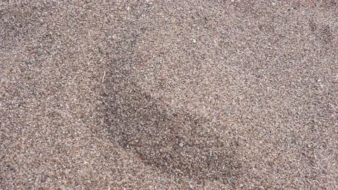 A small rock falls into the sand in slow motion Stock Footage 132361013