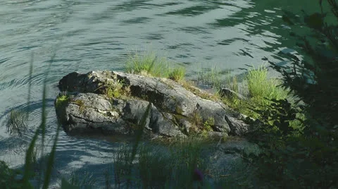 Small rock in forest lake Stock Footage 25840670