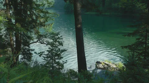Small rock in forest lake Stock Footage 25840732