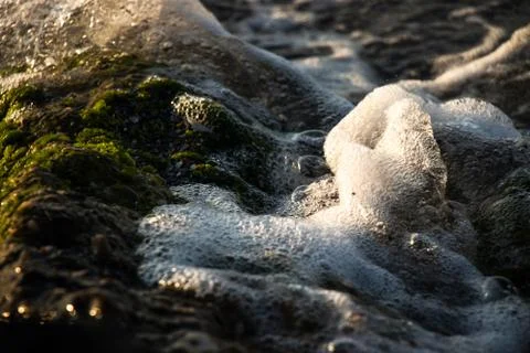 A small rock with moss 写真素材