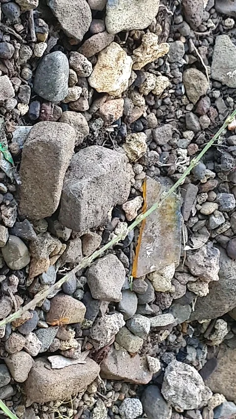 Small rock patterns on the ground Stock Footage 310814537