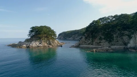 A small rock with pine trees. Stock Footage 115280093