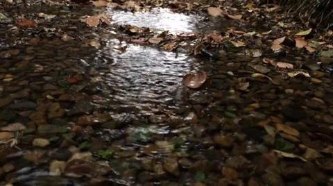 Small Rock Pond In The Rain Stock Footage 33935162