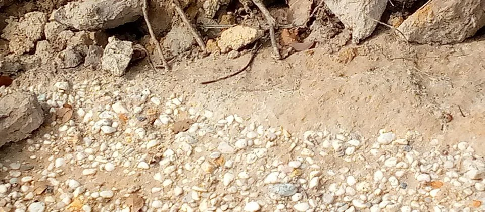 Small rock soil texture Stock Photos