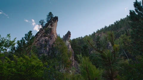 Small Rock Spire in Pine Forest Stock Footage 311951057