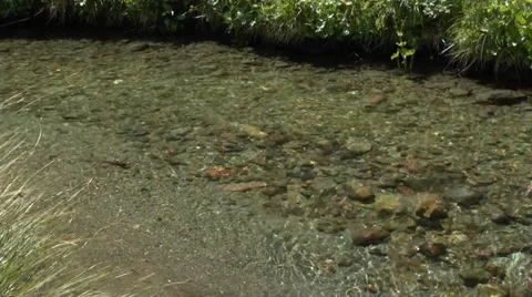 Small Rocks and Pebbles Under Mountain Stream 1 Stock Footage 32282333