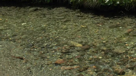 Small Rocks and Pebbles Under Mountain Stream 2 動画素材 32282922