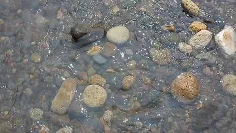 Small rocks break the clear and calm stream Stock Footage 195973871