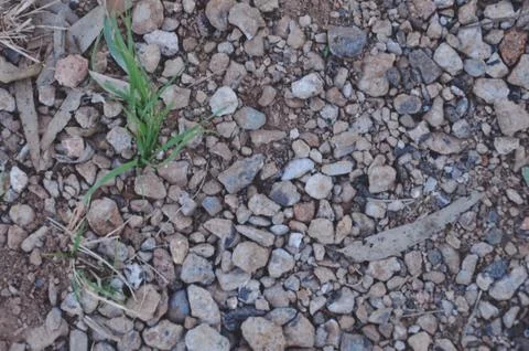 Small rocks Stock Photos